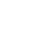 seguridad-enei